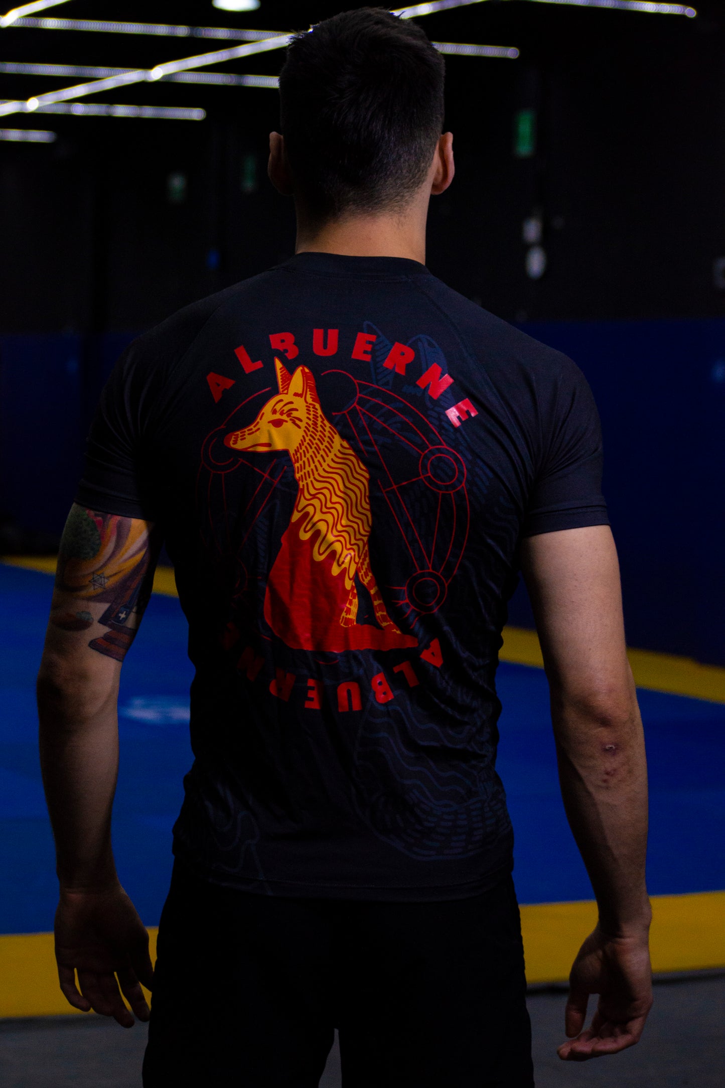 Coyote del desierto